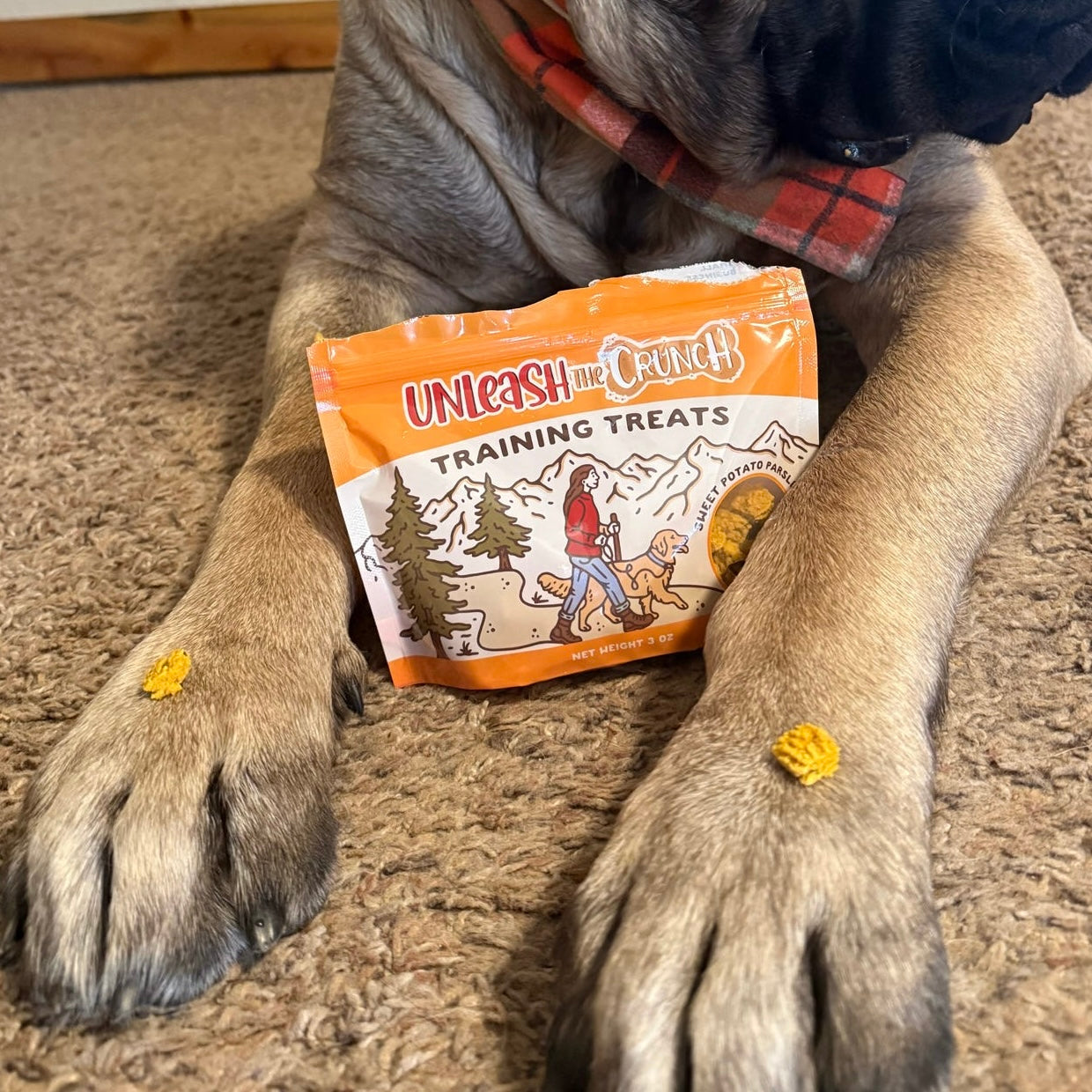 Sweet Potato Training Treats