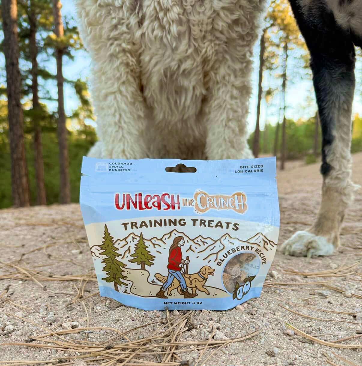 Blueberry Training Treats