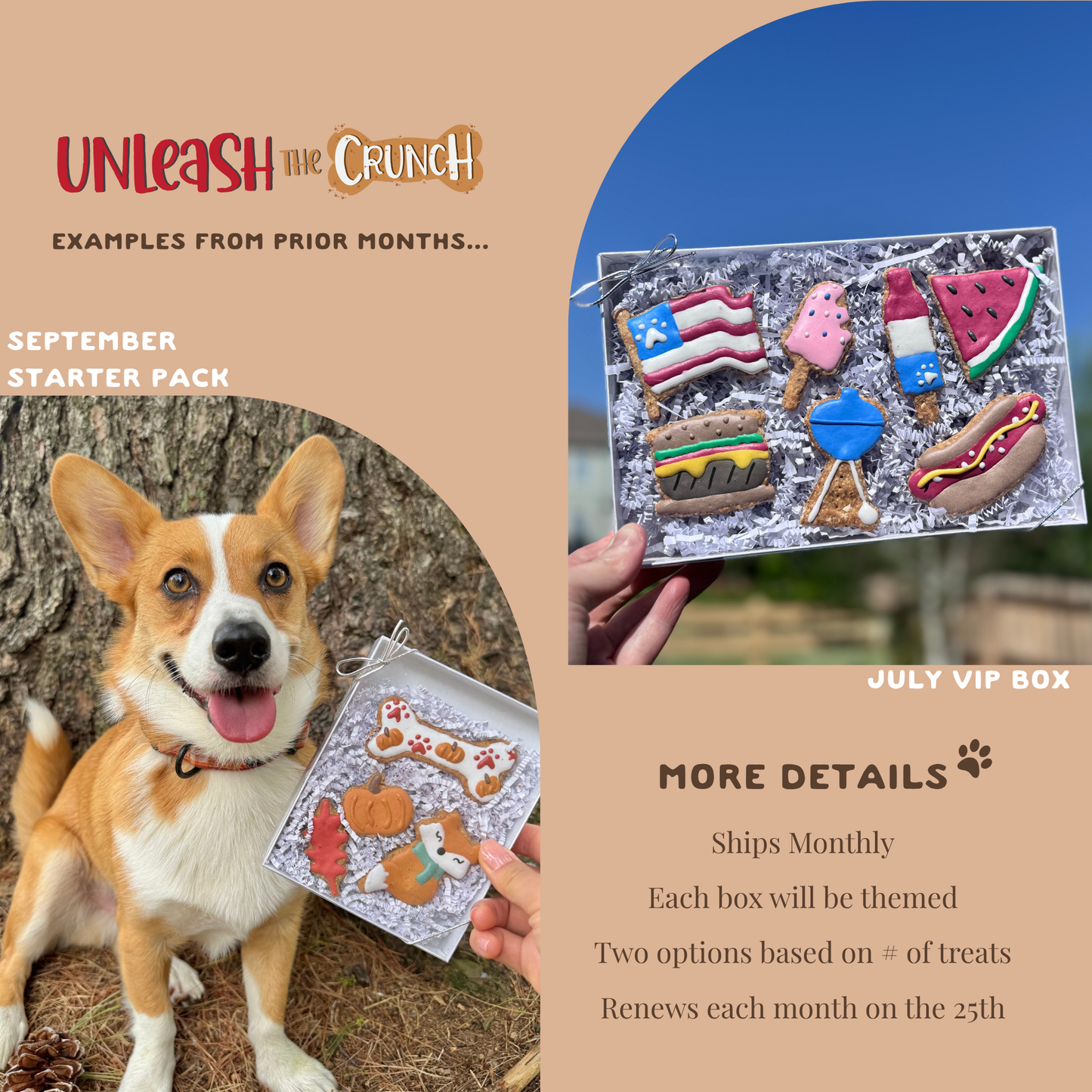 Icing Dog Treat Subscription