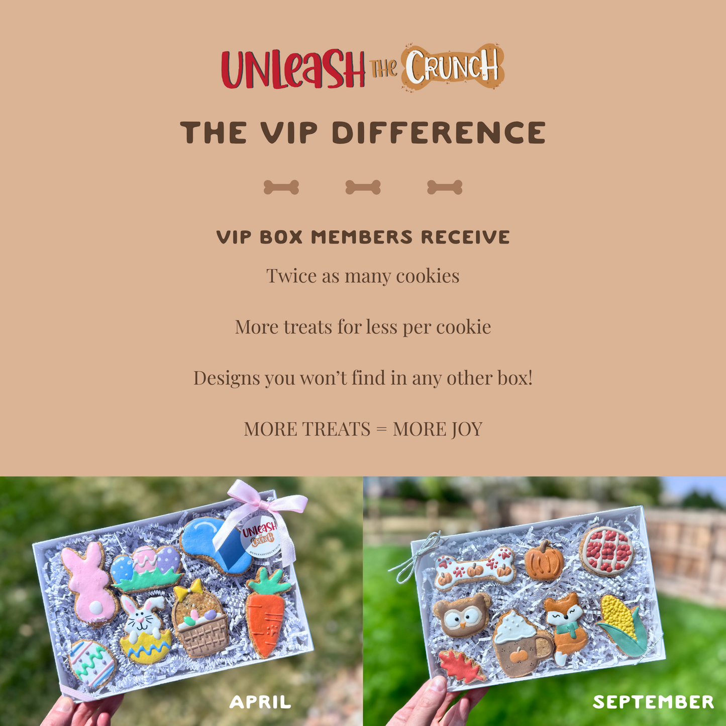 Icing Dog Treat Subscription