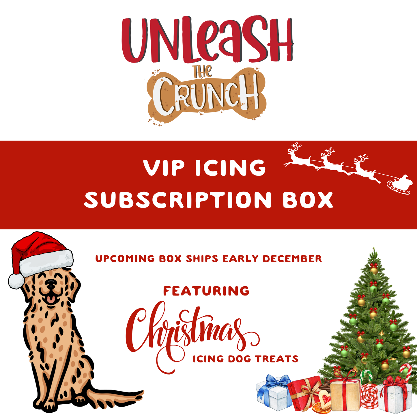 Icing Dog Treat Subscription