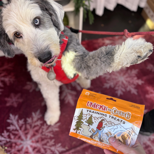 Sweet Potato Training Treats