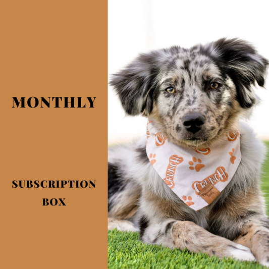 Subscription Box (Monthly)