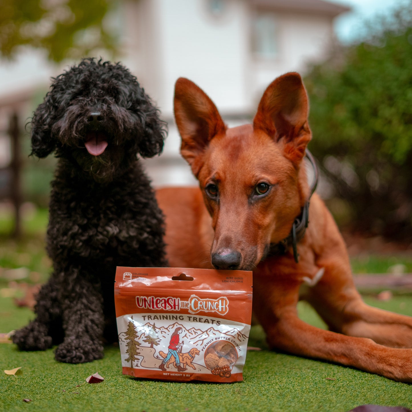 Peanut Butter Training Treats