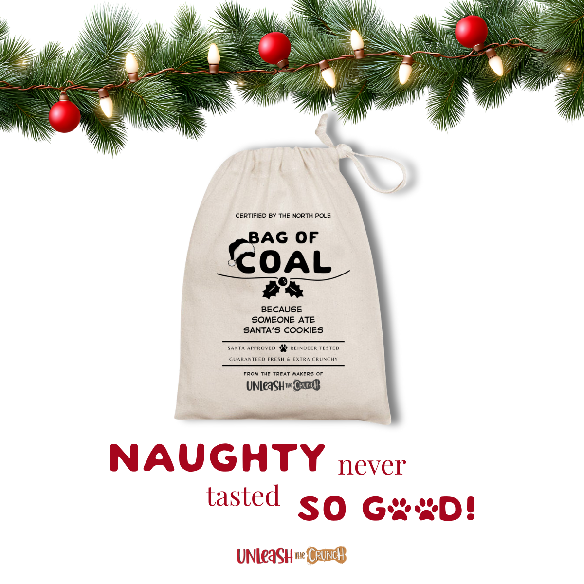 Bag of Coal for the Naughty Pets